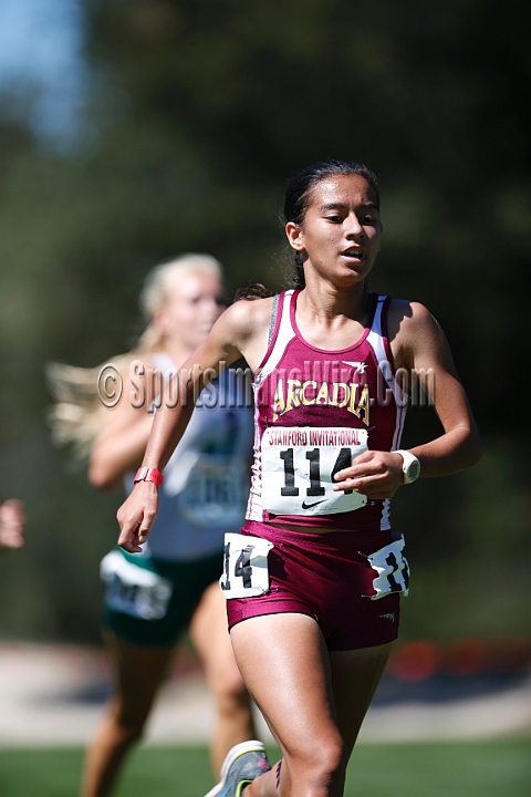 2013SIXCHS-179.JPG - 2013 Stanford Cross Country Invitational, September 28, Stanford Golf Course, Stanford, California.